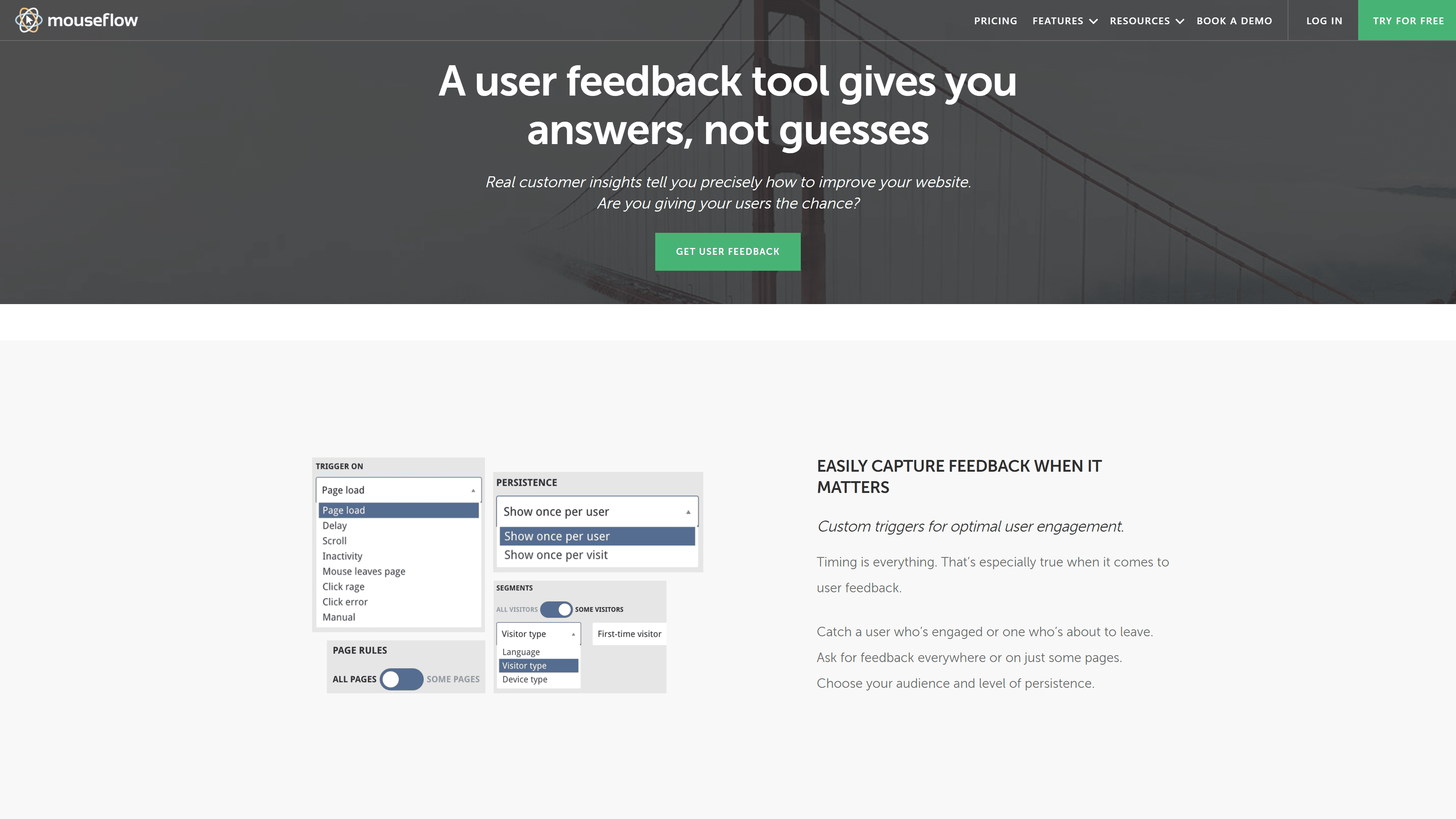 Mouseflow feedback 1